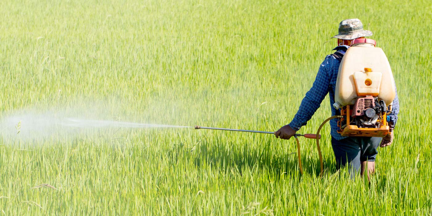 FOOD increasingly CONTAMINATED